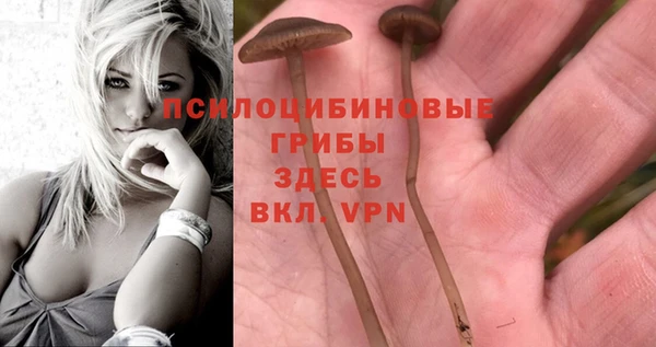 Альфа ПВП Новозыбков
