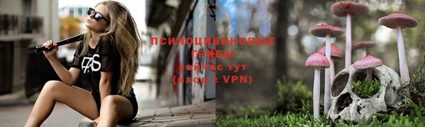 герыч Новокубанск
