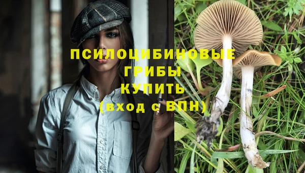 герыч Новокубанск