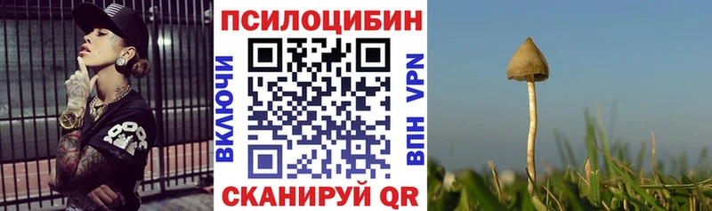 Псилоцибиновые грибы прущие грибы  Покров 